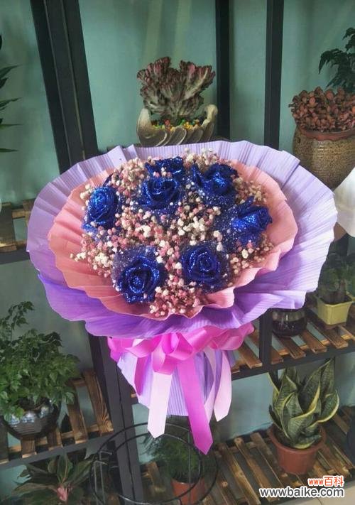 揭秘蓝色妖姬11朵花的神秘蕴义 蓝色妖姬11朵的象征意义与寓意