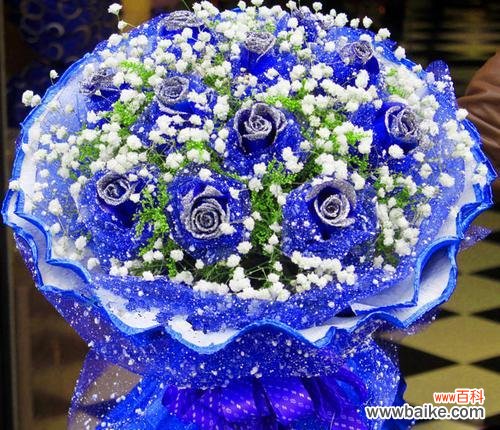 揭秘蓝色妖姬11朵花的神秘蕴义 蓝色妖姬11朵的象征意义与寓意