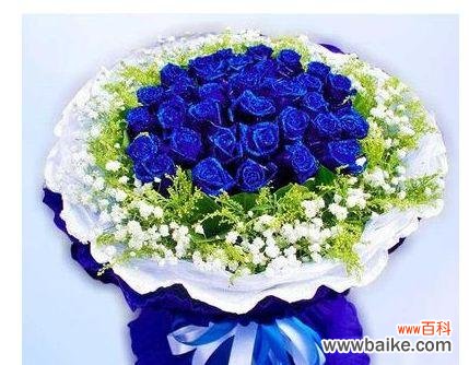 探寻蓝色妖姬的象征意义 蓝色妖姬