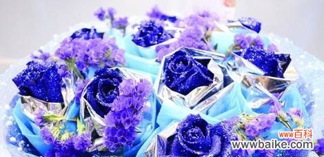 探寻蓝色妖姬的象征意义 蓝色妖姬