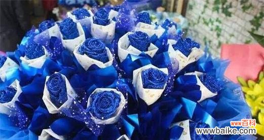 探秘蓝色妖姬花语的含义 蓝色妖姬