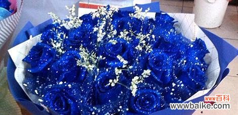 追寻内心的自由 蓝色妖姬