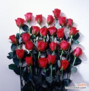 传递爱与美的花语 两朵玫瑰的象征意义