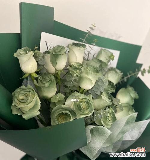 探寻绿玫瑰背后的神秘 绿玫瑰花语的含义与传承