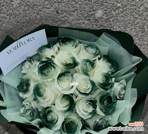 用一抹绿意传递温暖与重生 绿玫瑰花语