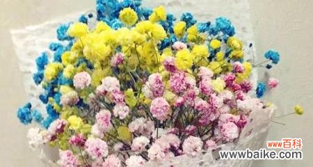 探寻满天星花的美丽与神秘 满天星的花语及象征意义