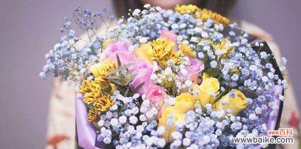 绽放爱意 满天星花语