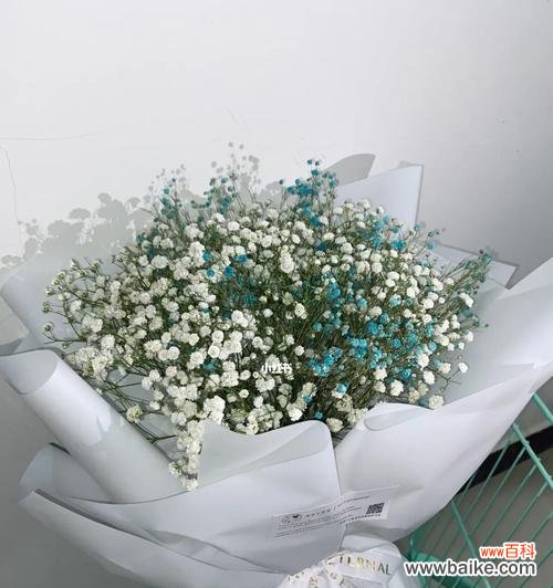 古老神秘的花朵 满天星花的传说与花语