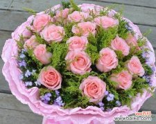 探索玫瑰花的内涵与象征意义 玫瑰的花语与寓意