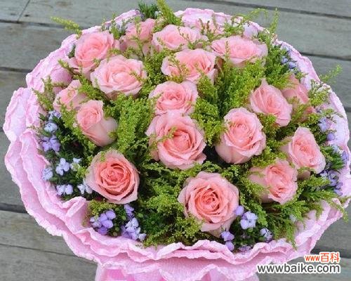 探索玫瑰花的内涵与象征意义 玫瑰的花语与寓意