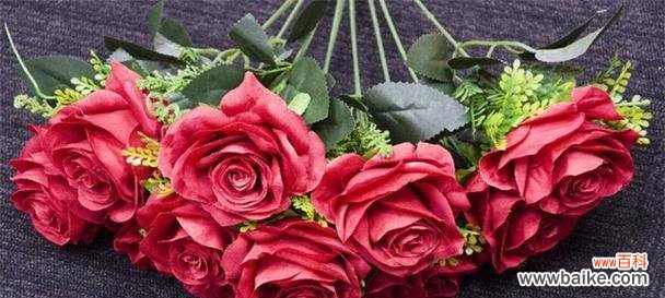 探索玫瑰花的不同寓意与文化符号 玫瑰花的含义及象征意义