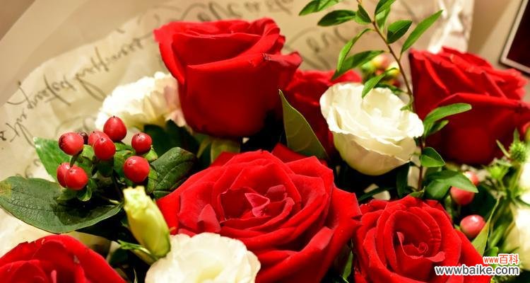 深入探究玫瑰花的各种含义 玫瑰花的含义和象征意义