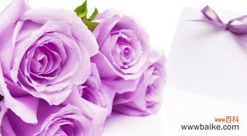 深情表达与浪漫诉说——五朵玫瑰花传递的深刻情感 五朵玫瑰花的花语及其意义解析