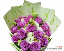 探索玫瑰花的数量与意义 玫瑰花的寓意与花语