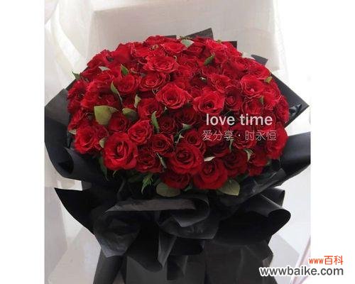 探索玫瑰花朵数与情感 玫瑰花朵数的含义