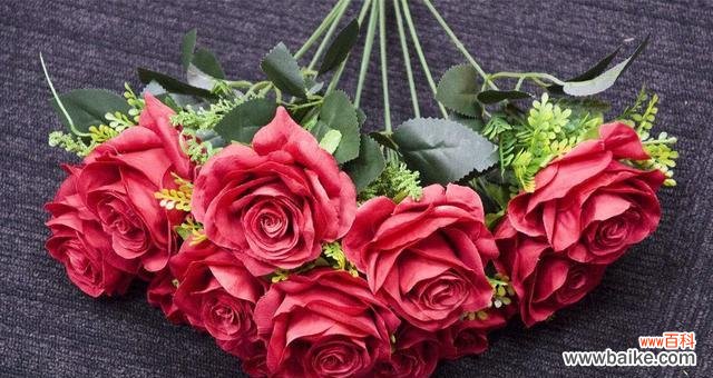 玫瑰花的朵数给出的信息和意义 玫瑰花朵数的含义与象征