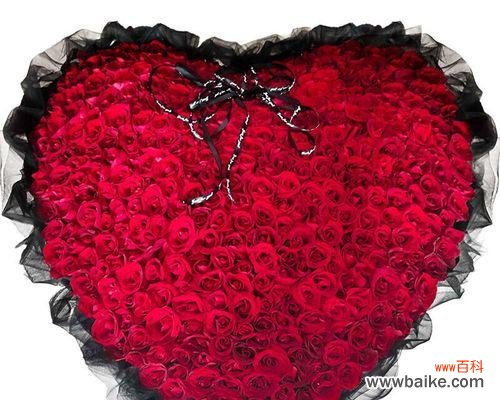 探究每朵玫瑰花所代表的情感与意义 玫瑰花的象征意义