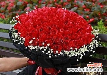 以玫瑰花送多少朵代表什么 玫瑰花的象征意义——花朵数量代表的含义