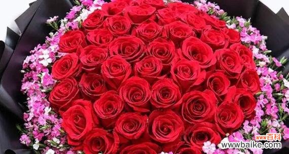 以玫瑰花送多少朵代表什么 玫瑰花的象征意义——花朵数量代表的含义
