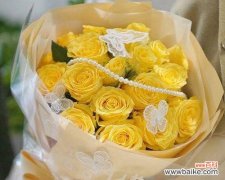 19朵玫瑰花的代表含义及传达的情感 玫瑰花赠送的意义与寓意