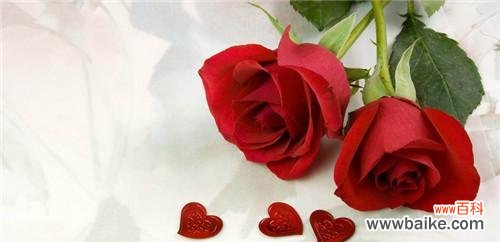 揭示玫瑰花颜色的秘密 玫瑰花的颜色寓意及象征意义