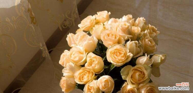 探寻三朵玫瑰花的深刻寓意 三朵玫瑰花语——爱、希望和自由