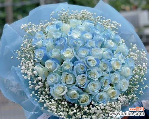 揭秘玫瑰花语的来源和隐藏的深层含义 玫瑰花语的奥秘与意义