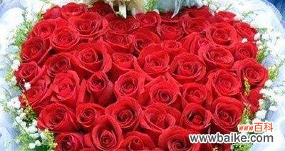 以玫瑰送几朵代表什么意思 玫瑰花的寓意与象征