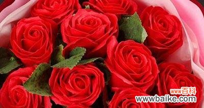 以玫瑰送多少朵传递不同的情感 玫瑰花的数量与寓意