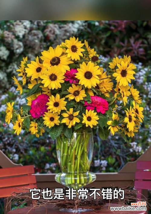 向日葵的花期 向日葵的花期——阳光与希望的象征