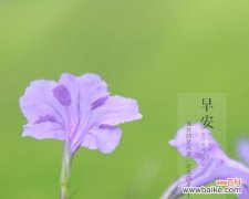 希望之花在人生道路上绽放的奇迹 生长梦想