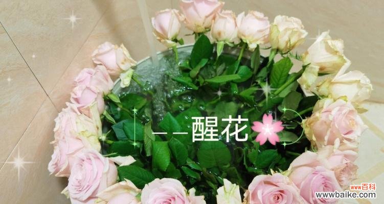 探寻自然界中最坚韧的爱情故事 植物中的至死不渝爱情