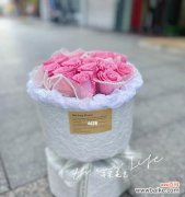 美丽的永生花花语 永生花