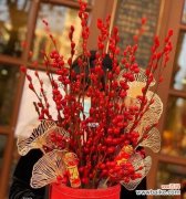 中国文化中的吉祥花卉 年宵花