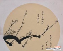 坚韧不拔的生命力 竹子的人生寓意及其象征的精神品质