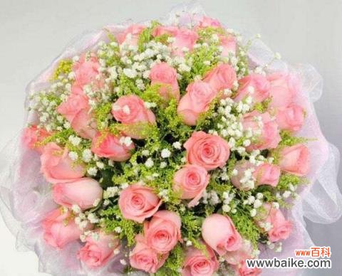 珍贵之花 竹芋会开花吗