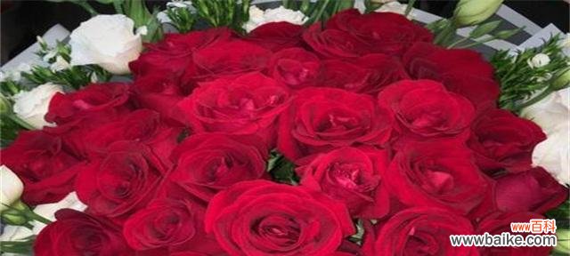 栀子花 栀子花的花语和寓意，给生活带来的美好