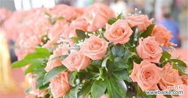 传递爱情与感激之情 15朵玫瑰的花语