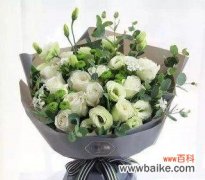 玫瑰花的传情之道 49朵玫瑰花花语的深意