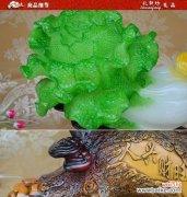 揭秘白菜的寓意与风水禁忌 白菜的象征与风水