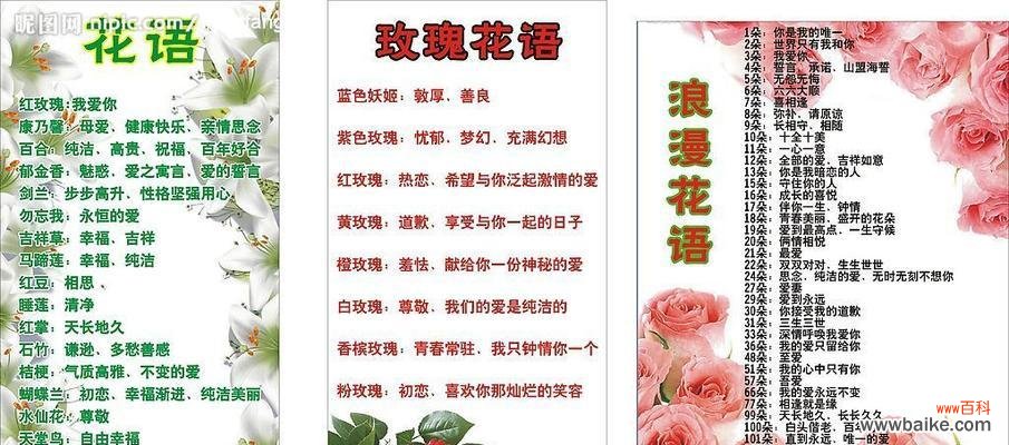 花开富贵祝福幸福 白康乃馨花的花语及祝福