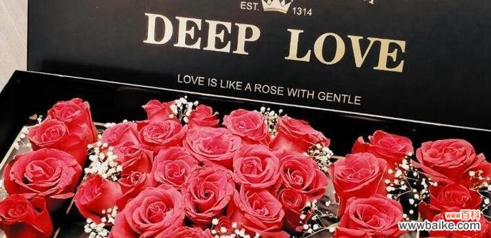 从爱情到友谊 两朵玫瑰的象征意义与寓意