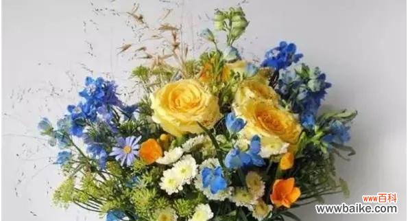 通过花语传递的诚实与真实情感 以花语代表诚实，用花来传递真实的力量