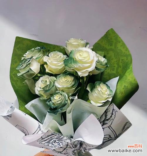 探索绿玫瑰的神秘之处与情感寓意 绿玫瑰的象征意义与传说