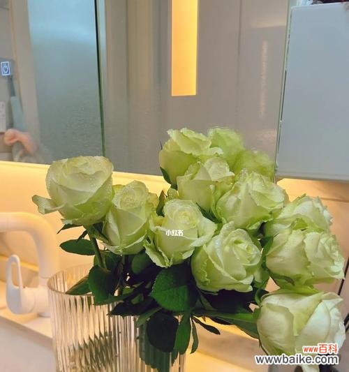 探索绿玫瑰的神秘之处与情感寓意 绿玫瑰的象征意义与传说