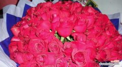 玫瑰花的数量和含义 玫瑰的象征意义及数量解读