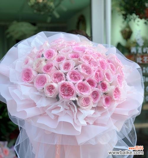 表达爱意 粉色玫瑰花的浪漫寓意