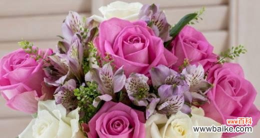 探寻玫瑰花的情感和文化内涵 玫瑰花的寓意与象征