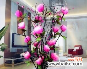 传递爱与美的花语之旅 玫瑰花的含义与象征