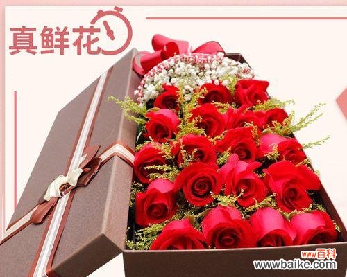 浪漫花语传递深情 玫瑰花